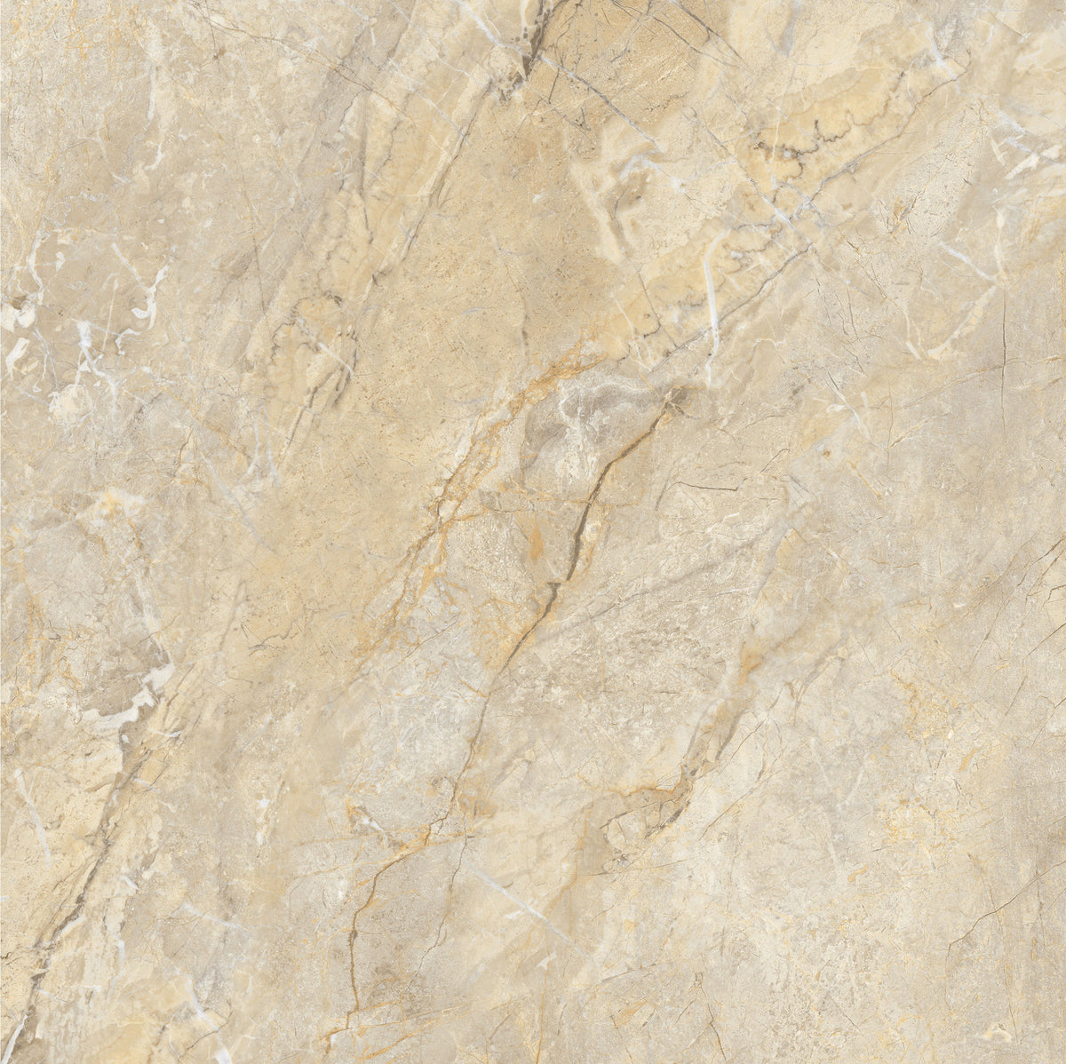 Royal Beige 60x60