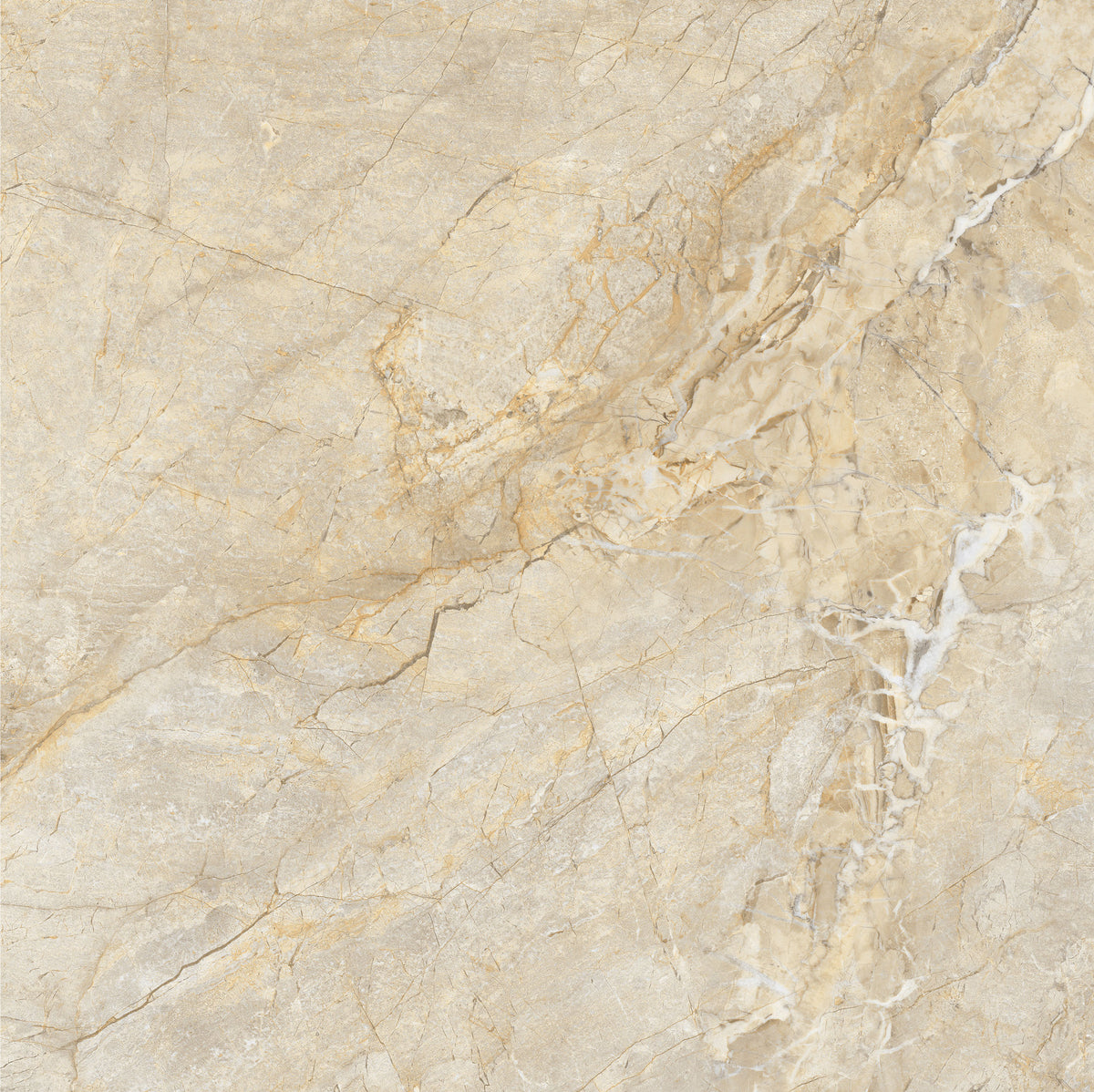 Royal Beige 60x60