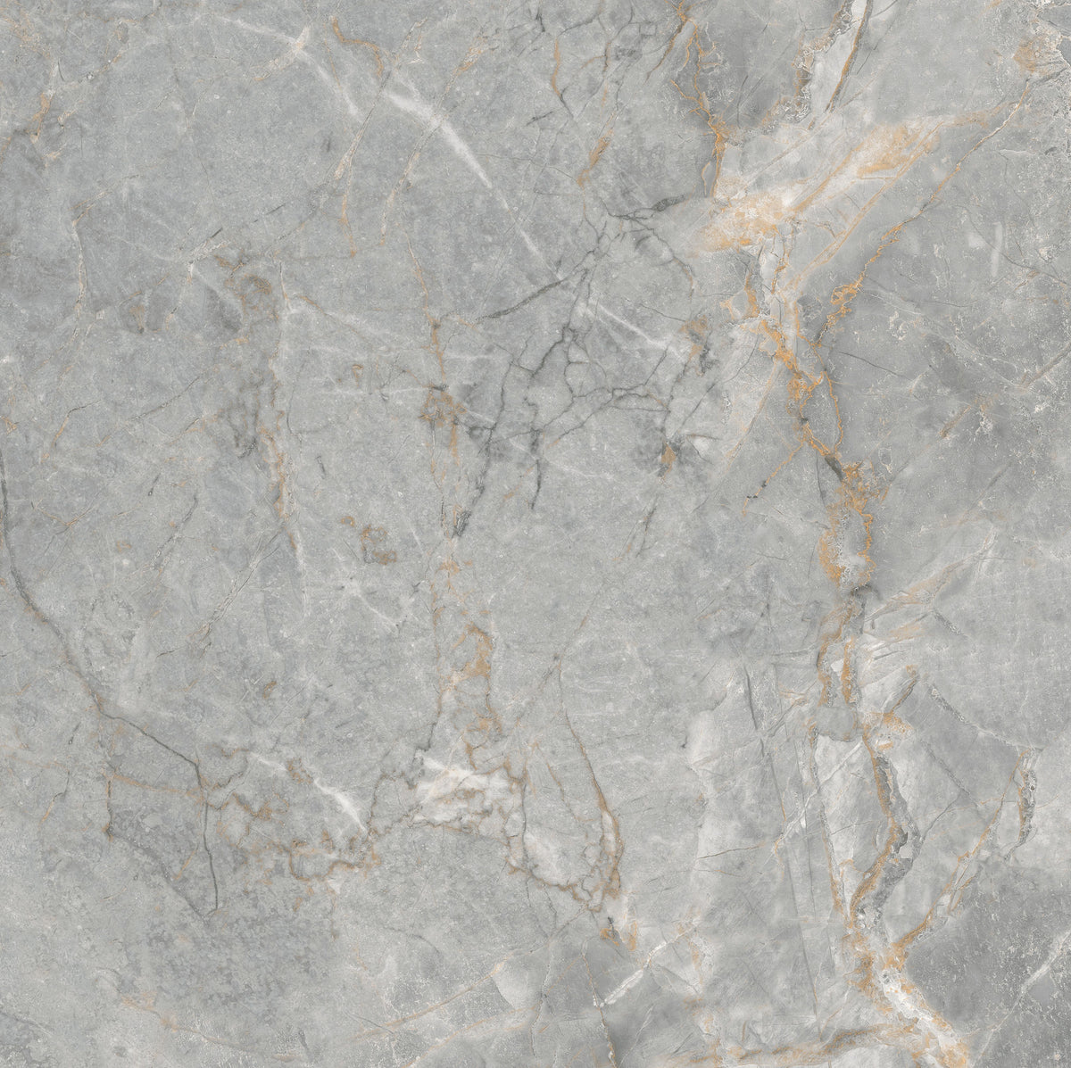 Royal Dark Grey 60x60