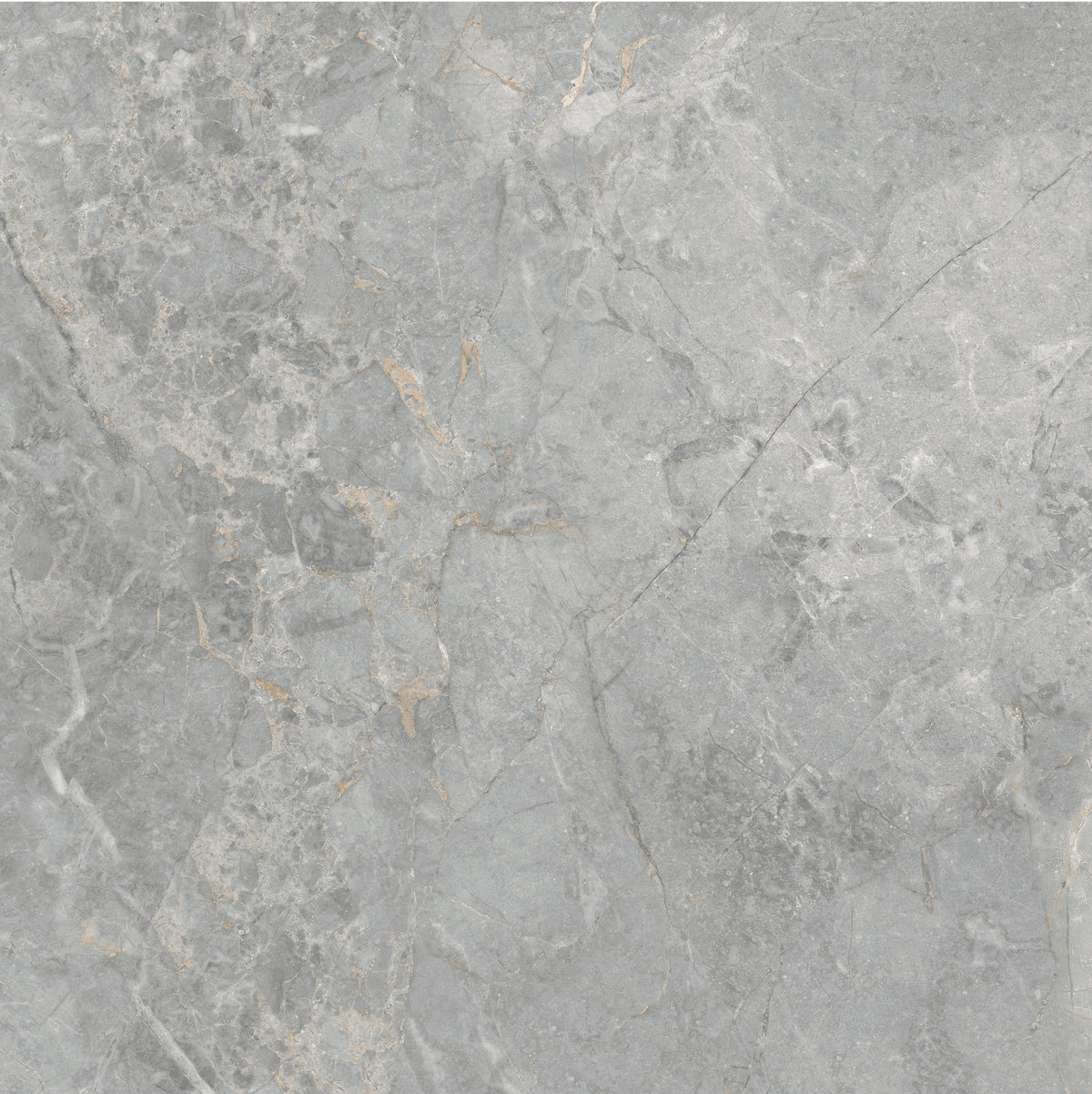 Royal Dark Grey 60x60