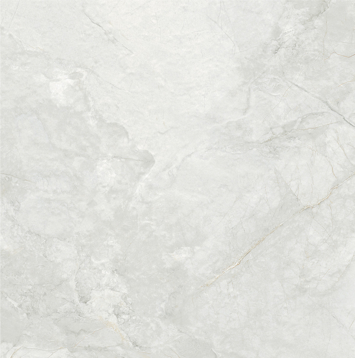 Royal White 60x60