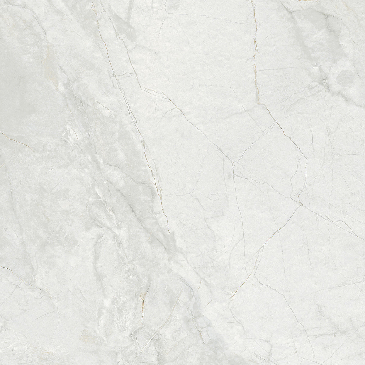 Royal White 60x60
