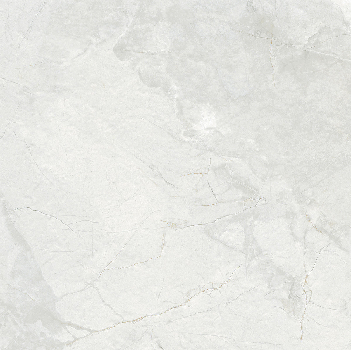 Royal White 60x60